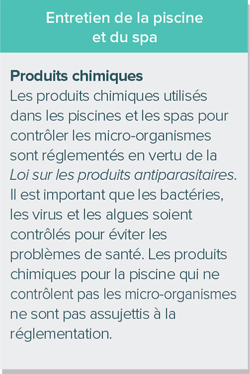 Quels exemples de micro-organismes sont donnés dans l’article?